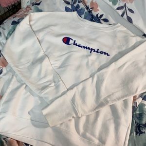 Champion sweater